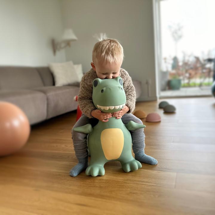 Image du produit Find That Hippo Hüpftier Dexter Dino