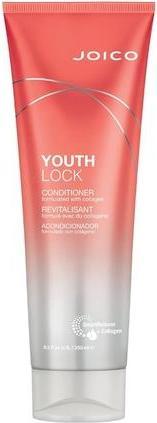 Actual product image Joico YouthLock Conditioner 250 ml (250 ml)