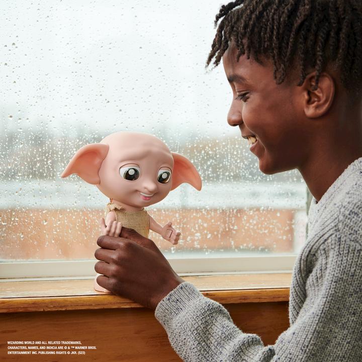 Actual product image Spin Master Harry Potter Interactive Dobby