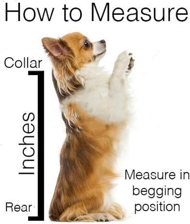 Produktbild WLDOCA Hunderucksack (Hund, Faltbar)