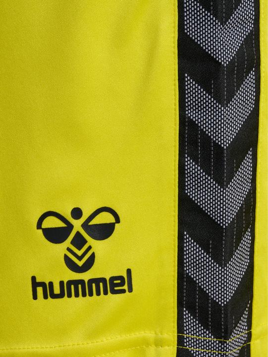 Actual product image hummel Hmlauthentic Pl Shorts (S)
