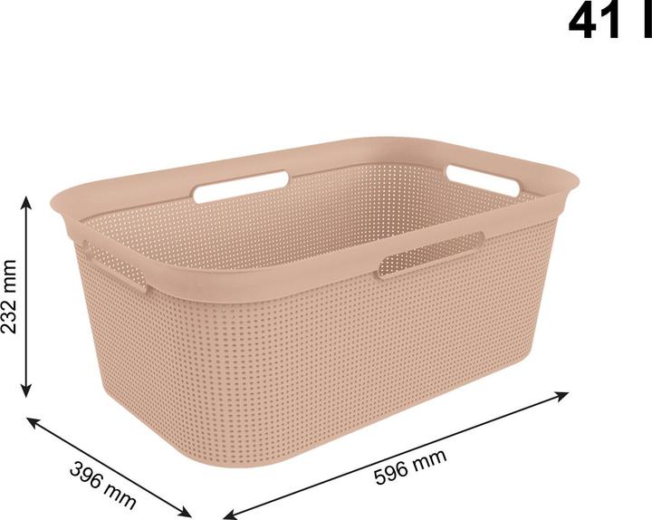 Actual product image Rotho Breezes (41 l)