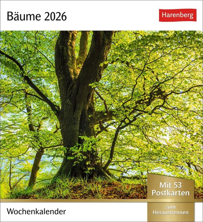 Immagine prodotto Harenberg Bäume Postkartenkalender 2026 - Wochenkalender mit 53 Postkarten (Tedesco)