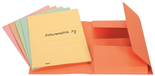 Immagine prodotto Biella Raccoglitore di file cartella della giuria (A4, 1 x)