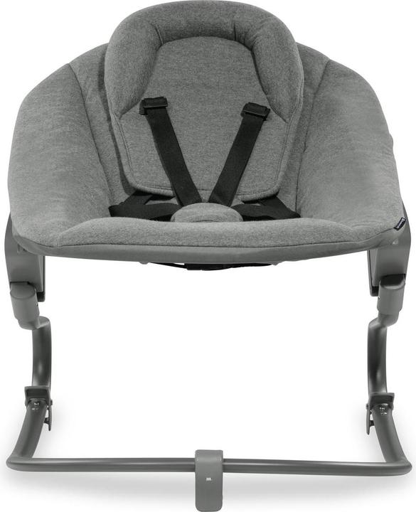 Actual product image Hauck Alpha Bouncer