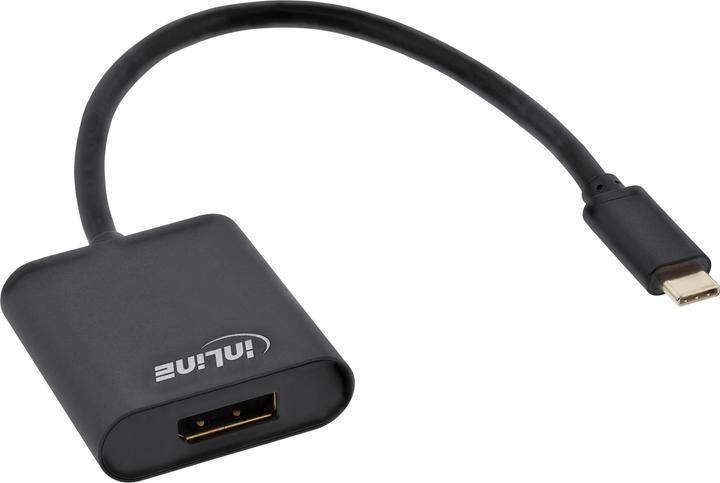 InLine USB Display Konverter (DP, 20 cm)