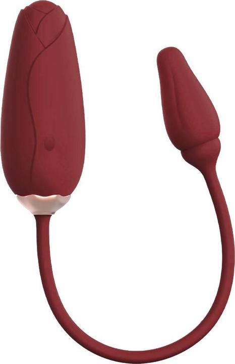 Produktbild Viotec Flora Tragbarer Vibrator mit App-Steuerung