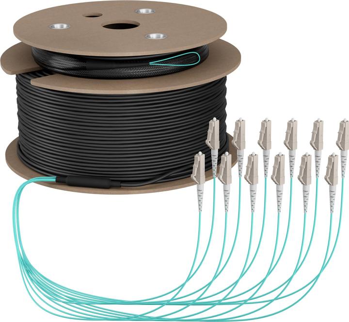 Actual product image EFB Elektronik Trunk cable U-DQ ZN BH OM3 12G 1x12 LC-LC 180m Dca LSZH (180 m)