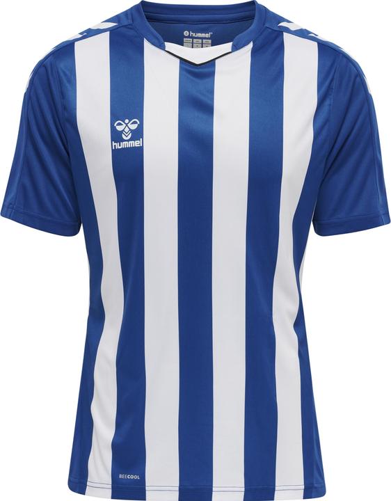 truebluewhite