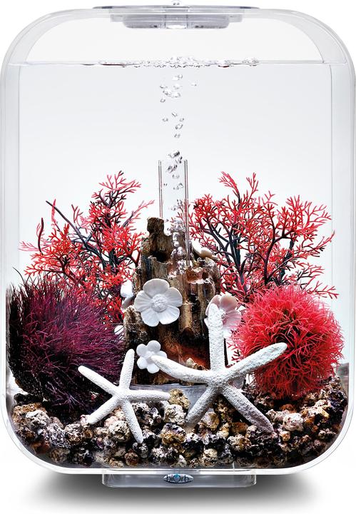 Actual product image Oase biOrb Aquarium 15 Decor Set (Embellishment, other items)
