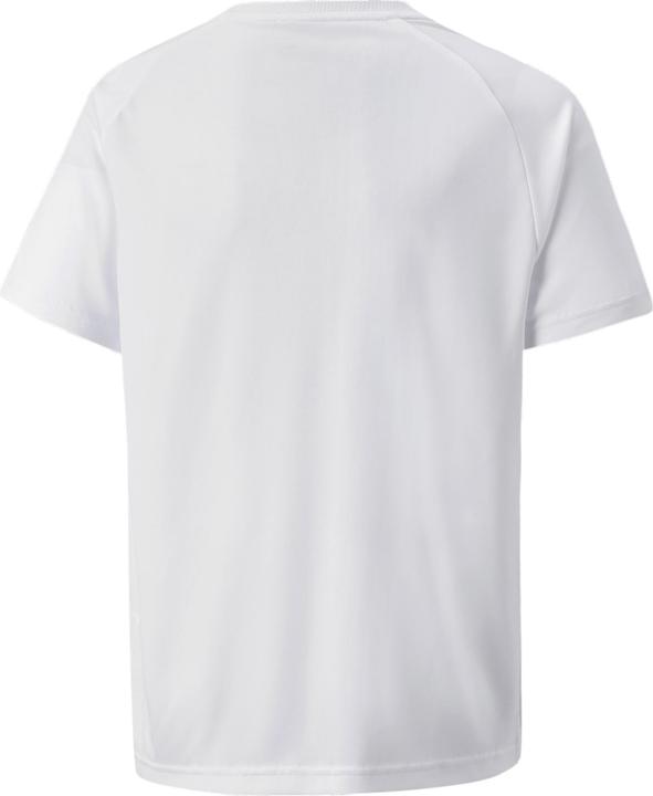 Actual product image Puma teamVISION Jersey Jr-704928 (176)