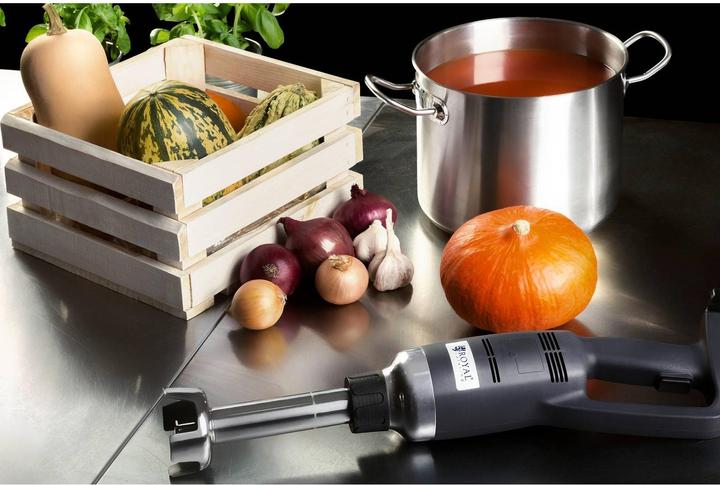 Actual product image Royal Catering Hand blender - 350 W - 250 mm - 16,000 rpm