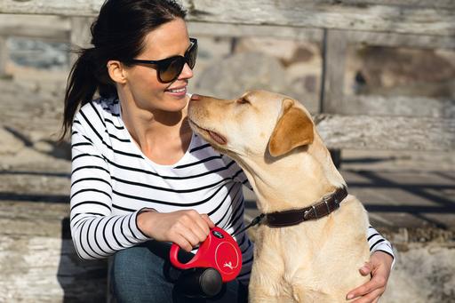 Actual product image Flexi New Classic belt (L, Dog, General, Walks)