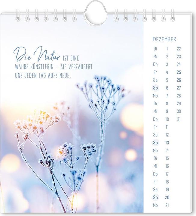 Produktbild Postkartenkalender 2026 Lichtblicke (16 x 17 cm, Deutsch)