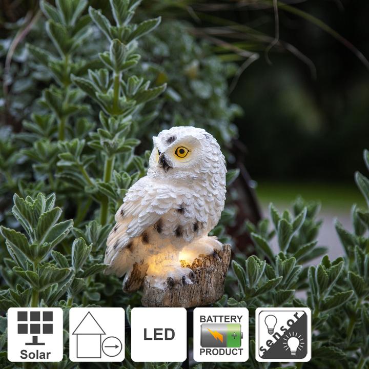 Image du produit Star Trading Owl (IP44)