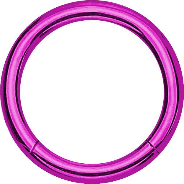 Image du produit Star Piercing Micro anneau segment violet (Titane G23)