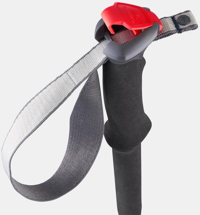 Immagine prodotto Forclaz MT 500 (100 - 115 cm)
