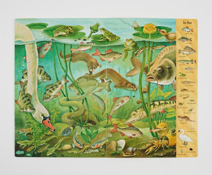 Immagine prodotto Das Riesen-Natur-Wimmelbuch (Tedesco, Christine Henkel, 2018)