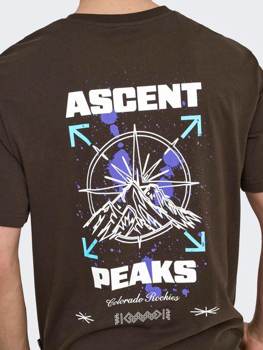 Produktbild Only & Sons Onskeane Rlx Ss Print Tee Noos (M)