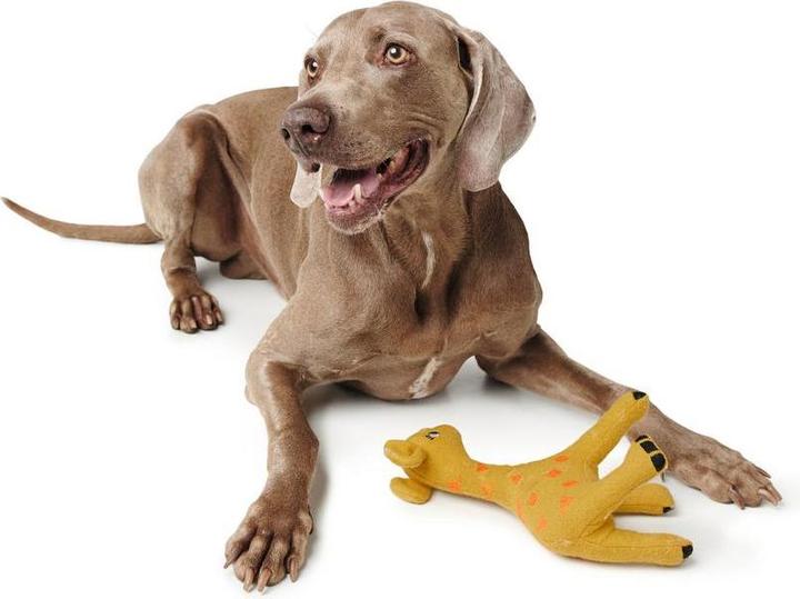 Actual product image Hunter Dog toy Eiby Giraffe (Plush toy dog)