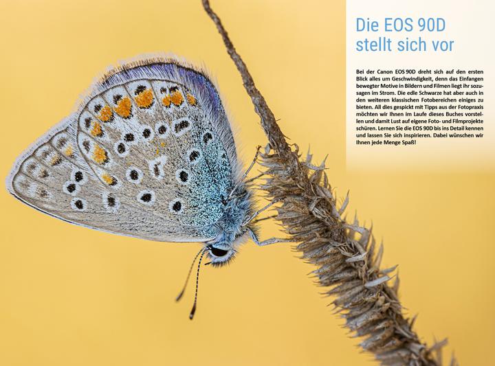 Actual product image Canon EOS 90D (German, Christian Bildner, Kyra Singer, Christian Singer, 2019)