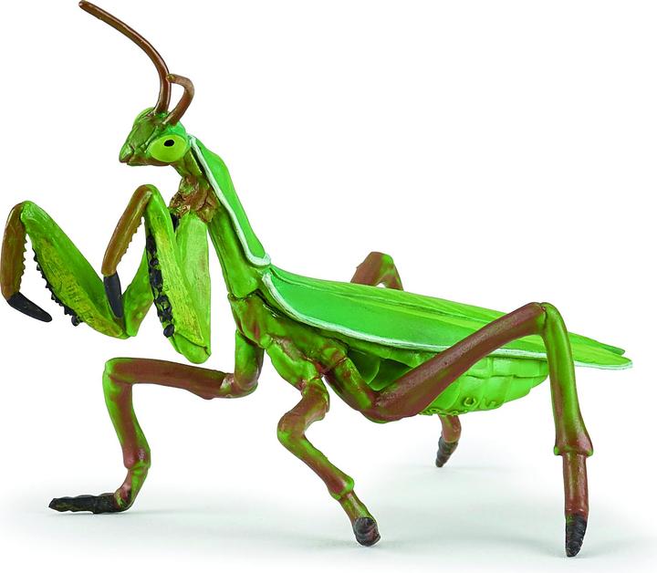 Actual product image Papo Praying mantis