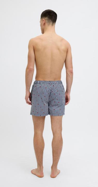 Immagine prodotto Jack & Jones Jpstmaui Jjswim Mini Stripe Akm Sn (L)