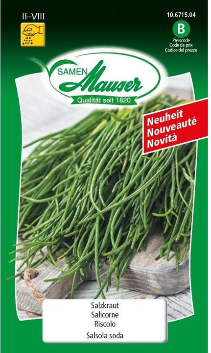 Actual product image Samen Mauser Salzkraut (Vegetable seeds)