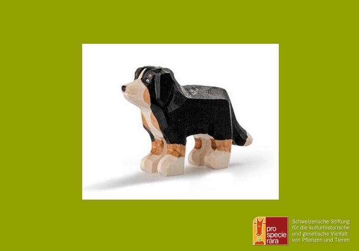 Produktbild Trauffer Appenzeller Sennenhund