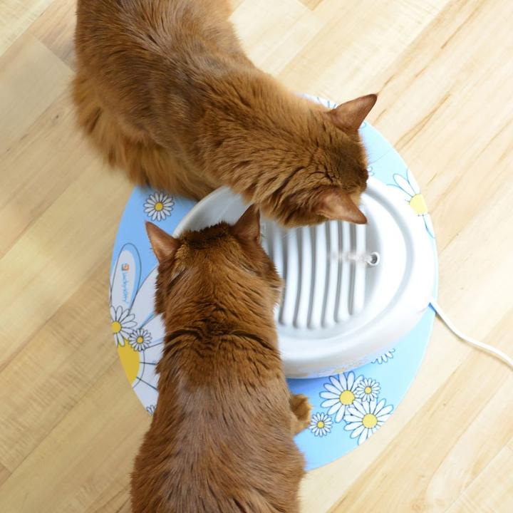 Actual product image Lucky Kitty Ceramic drinking fountain (1.50 l)