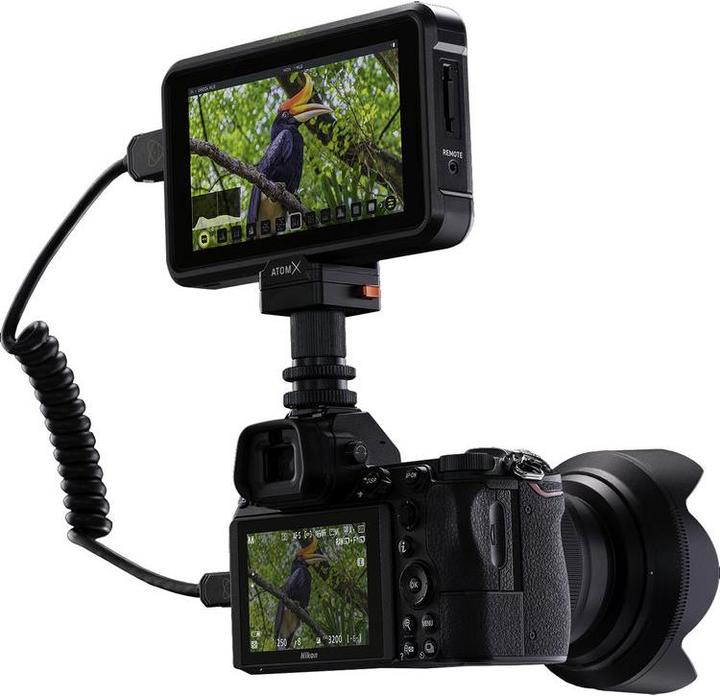 Produktbild Atomos Shinobi (5.20", Full HD)