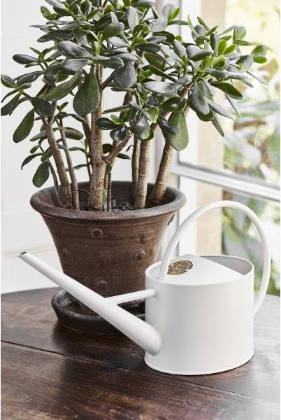 Actual product image Burgon & Ball Watering can (1.70 l)