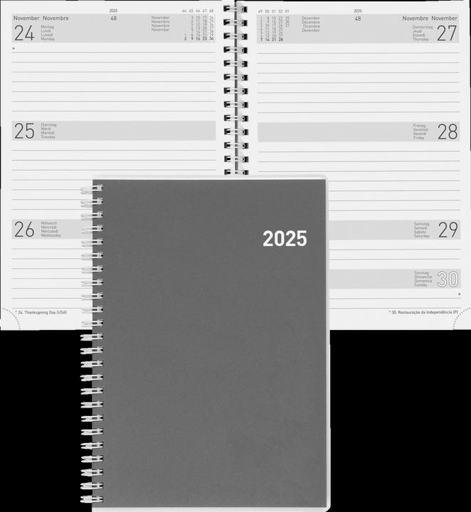 Produktbild Biella Dispo Term (14.5 x 20.5 cm, Deutsch)