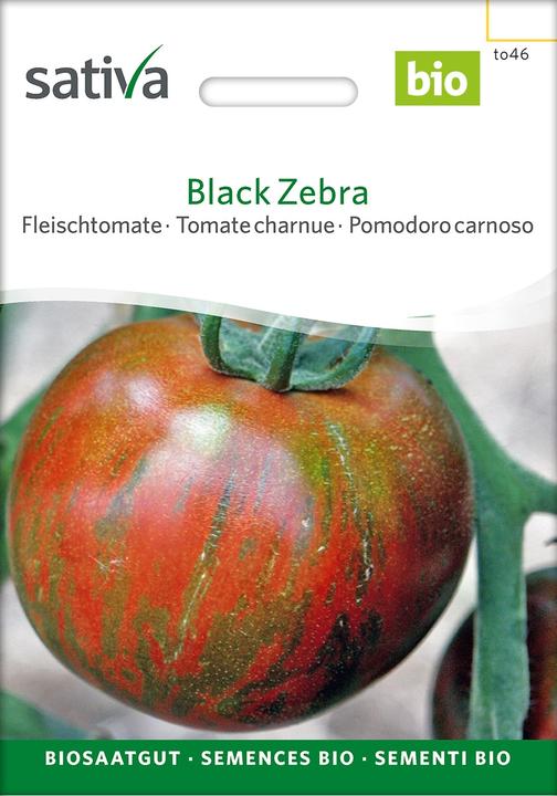 Image du produit Sativa Black Zebra – Fleischtomate Bio (Graines de légumes)