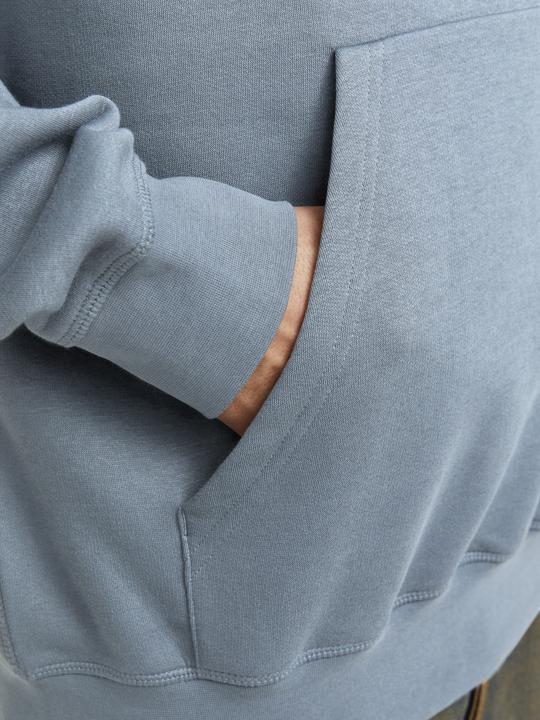 Actual product image Jack & Jones Jorroxbury Back Sweat Hood Ln (M)