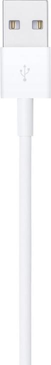 Produktbild Apple Lightning to USB Cable (1m) (1 m, USB 2.0)