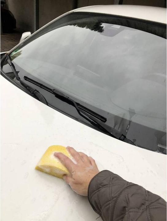 Actual product image IWH Viscose sponge