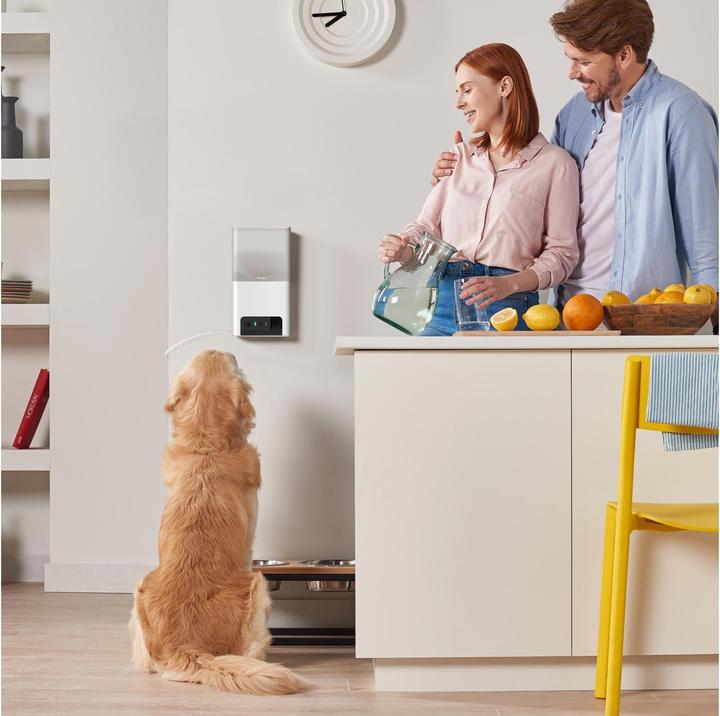 Produktbild Petcube Haustierkamera mit Leckerli Ausgabe (1000 l)