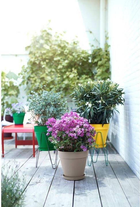 Actual product image Elho Loft Urban (19.30 cm)
