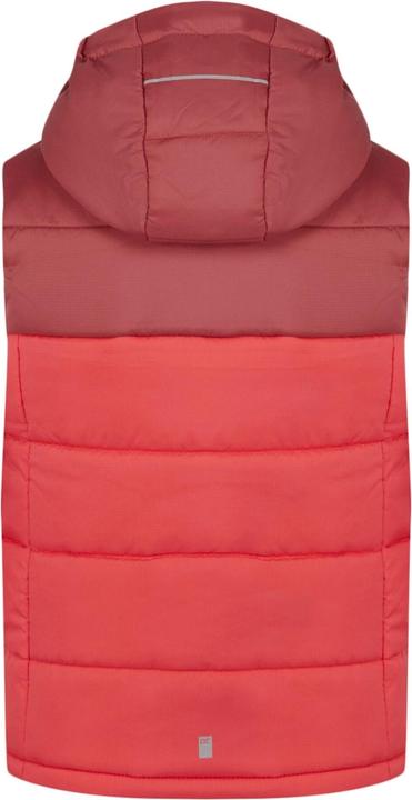 Actual product image Regatta Childrens/Kids Lofthouse II Gilet (104)