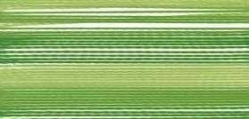 Image du produit Madeira Fil à broder Rayon No.40 Ombré (200 m)
