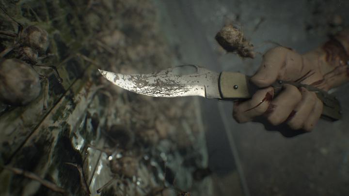 Actual product image Capcom Sony Resident Evil 7 Biohazard, PS4 Standard PlayStation 4 (PS4, EN)