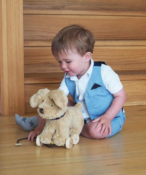 Produktbild little bird told me Dexter Dog Pull Along