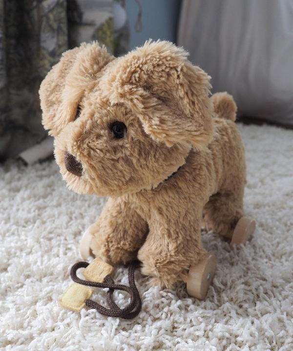 Produktbild little bird told me Dexter Dog Pull Along