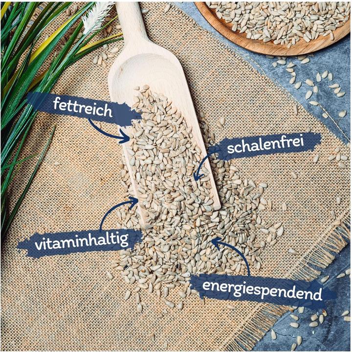 Actual product image Lyra Pet Sunflower seeds peeled (1 x, 25 kg)