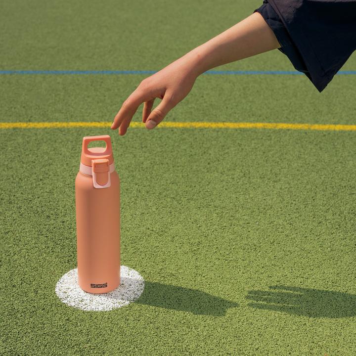 Image du produit Sigg H&C One Light (0.55 l)
