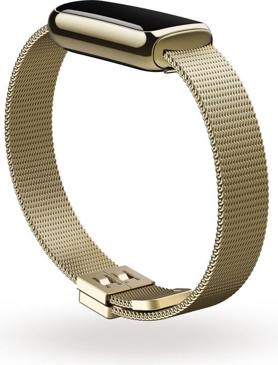 Image du produit Fitbit Bracelet en acier inoxydable de luxe (Acier inoxydable, Taille unique)