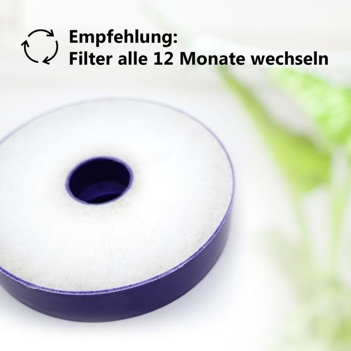 Actual product image Hermex HEPA Filter Dyson DC04 DC05 DC08 DC19 DC20 DC21 Vacuum Cleaner