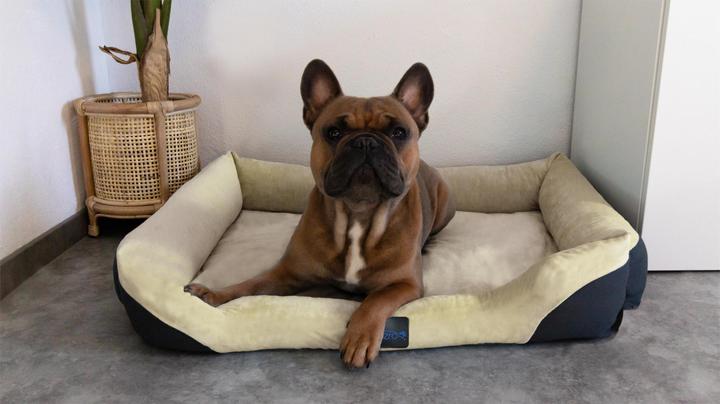 Actual product image Aspero Hanko and Lund Dog Bed and Blanket (Dog)