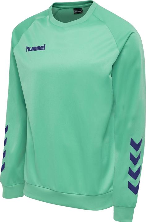 Image du produit hummel Promo Kids Poly Sweatshirt (140)